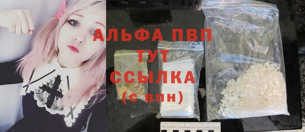 PSILOCYBIN Гусев