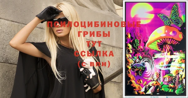 PSILOCYBIN Гусев